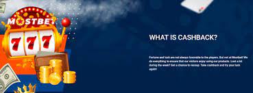 মোস্টবেট বিডি (বাংলাদেশ) - অফিসিয়াল ক্যাশ বেটিং এবং জুয়া এন্টারপ্রাইজ ওয়েবসাইট